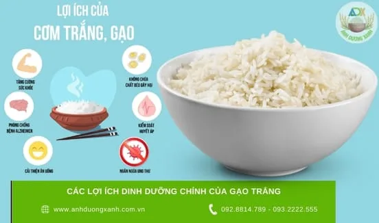 cac-loi-ich-dinh-duong-chinh-cua-gao-trang