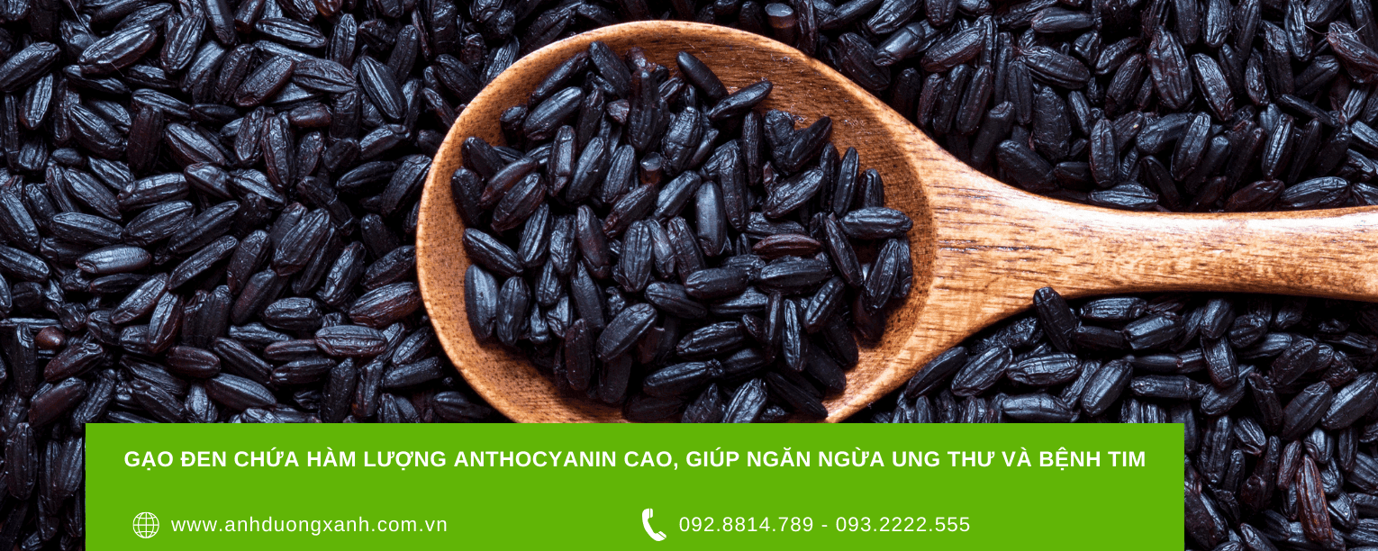 gao-den-chua-ham-luong-anthocyanin-cao-giup-ngan-ngua-ung-thu-va-benh-tim