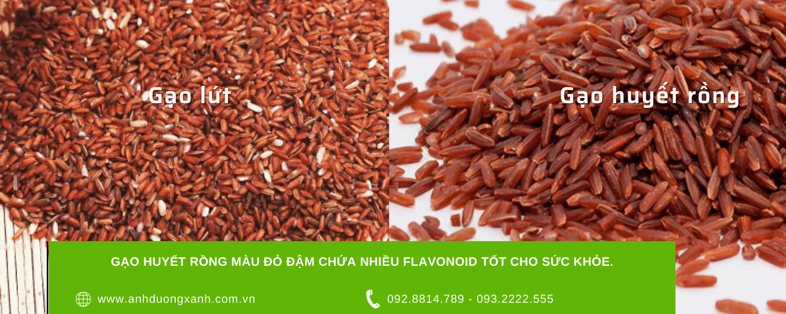 Gao-huyet-rong-mau-do-dam-chua-nhieu-flavonoid