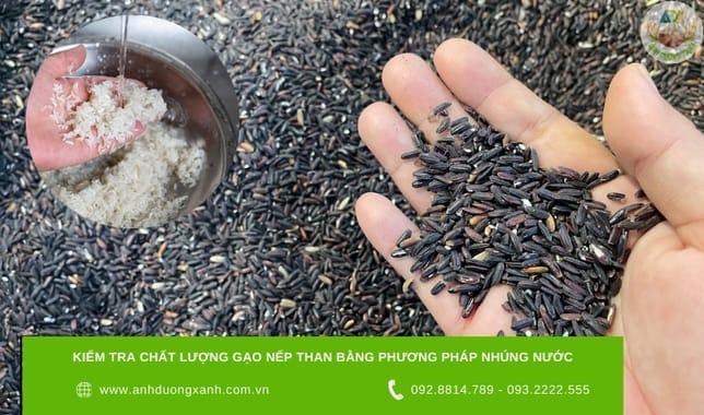 kiem-tra-chat-luong-gao-nep-than-bang-phuong-phap-nhung-nuoc