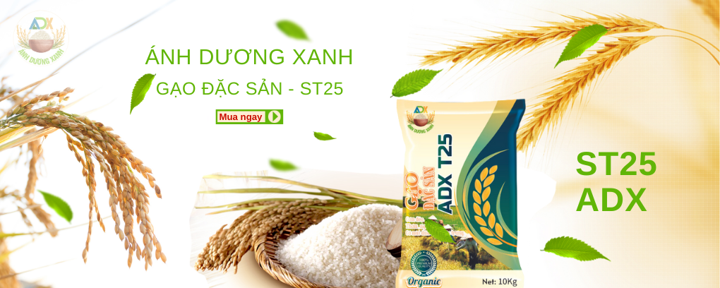 gao-dac-sac-adx-t25