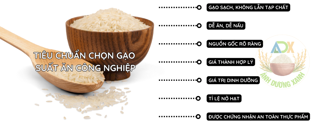 tieu-chuan-chon-gao-nau-suat-an-cong-nghiep