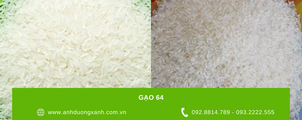 Gao-64-deo-dua