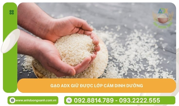 gao-ADX-sau-qua-trinh-xay-xat-van-giu-duoc-lop-cam-dinh-duong