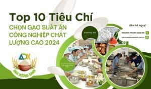 top-10-tieu-chi-chon-gao-suat-an-cong-nghiep