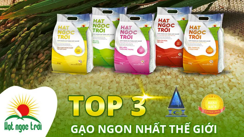 top-9-thuong-hieu-gao-sach-huu-co-duoc-yeu-thich-nhat-hien-nay-gao-hat-ngoc-troi