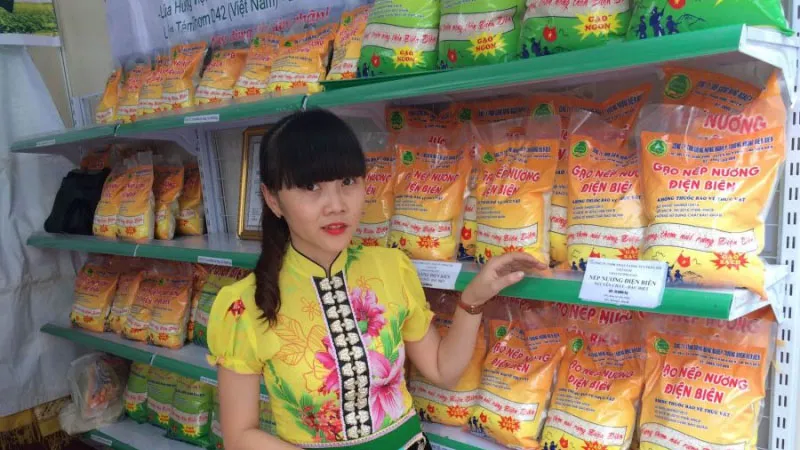 gao-truong-huong-dien-bien